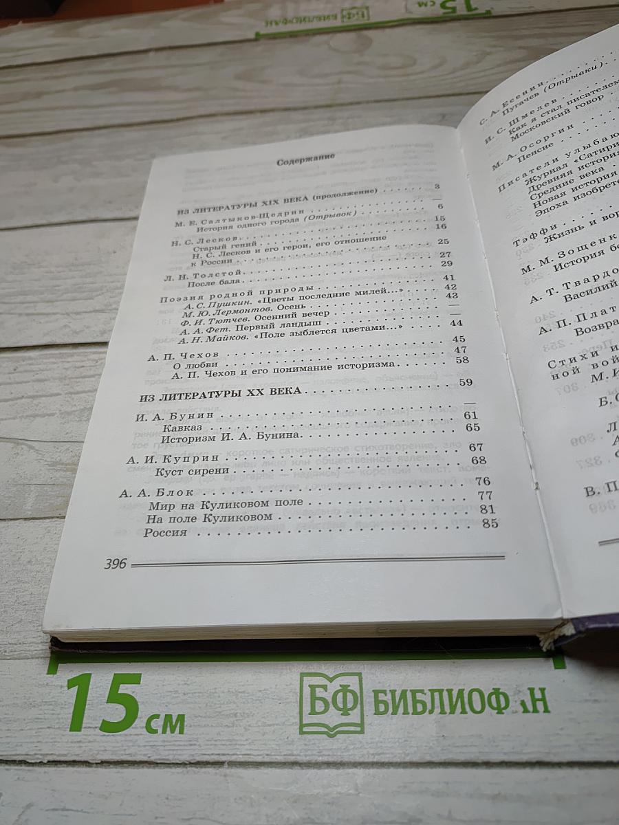 Литература. 8 класс. Часть 2
