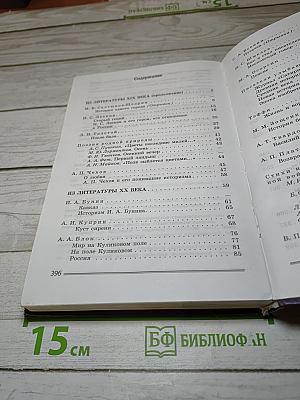 Литература. 8 класс. Часть 2
