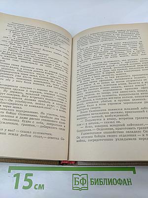 Пограничные были