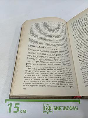 Пограничные были