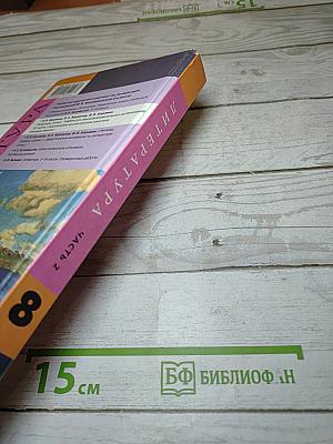 Литература. 8 класс. Часть 2