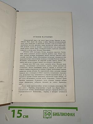 Буйная Кура