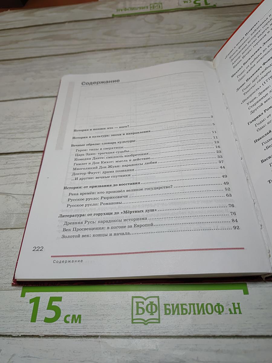 Литература. Учебник для 9 класса. Часть 1
