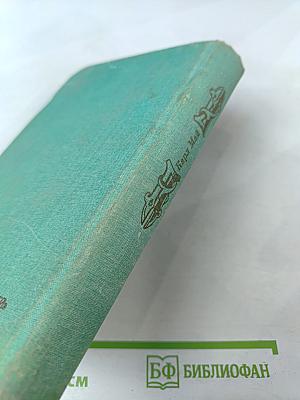 Виннету на Диком Западе