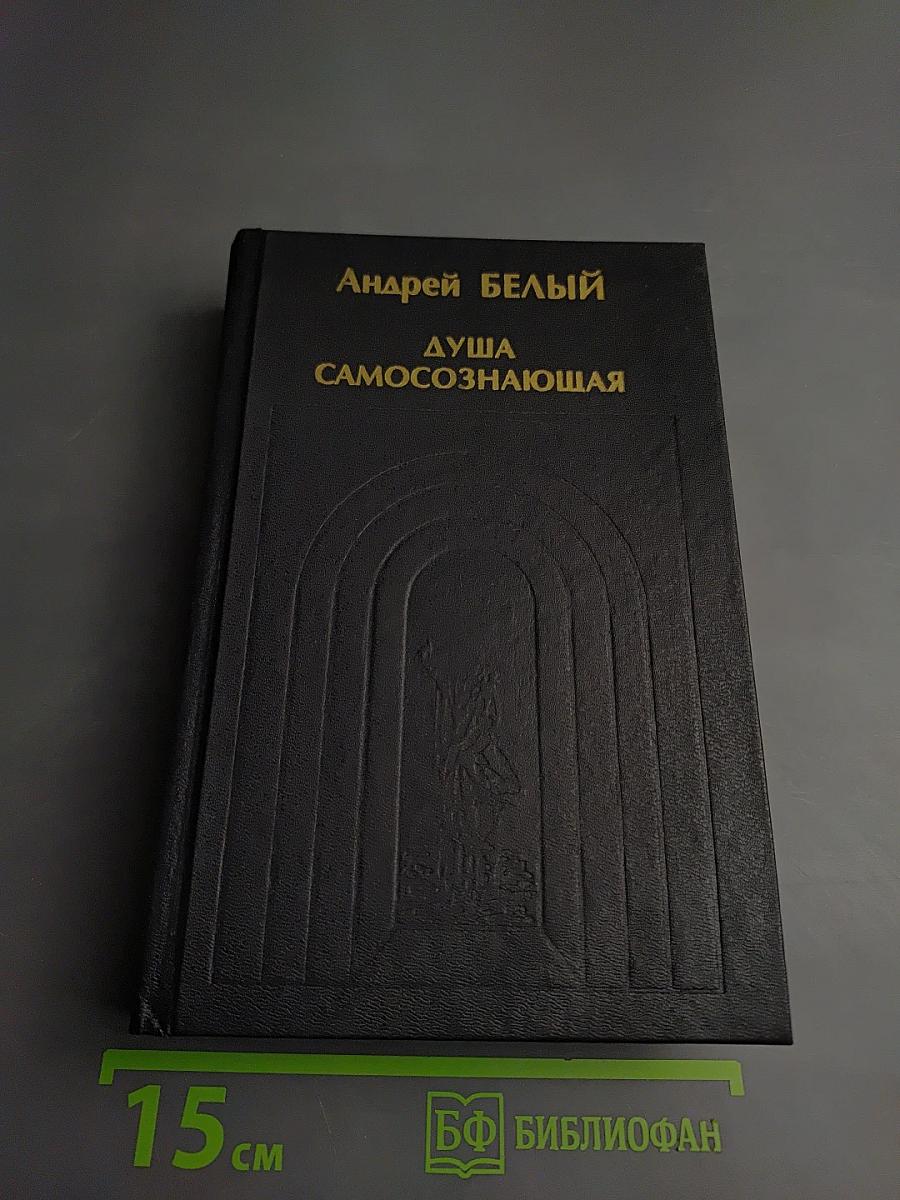 Душа самосознающая