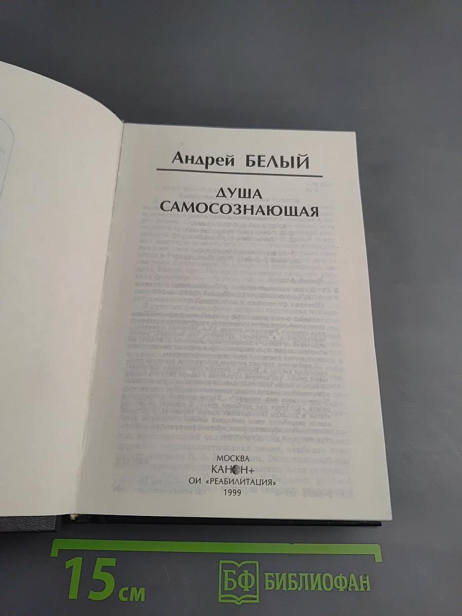 Душа самосознающая