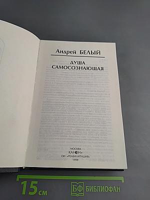 Душа самосознающая