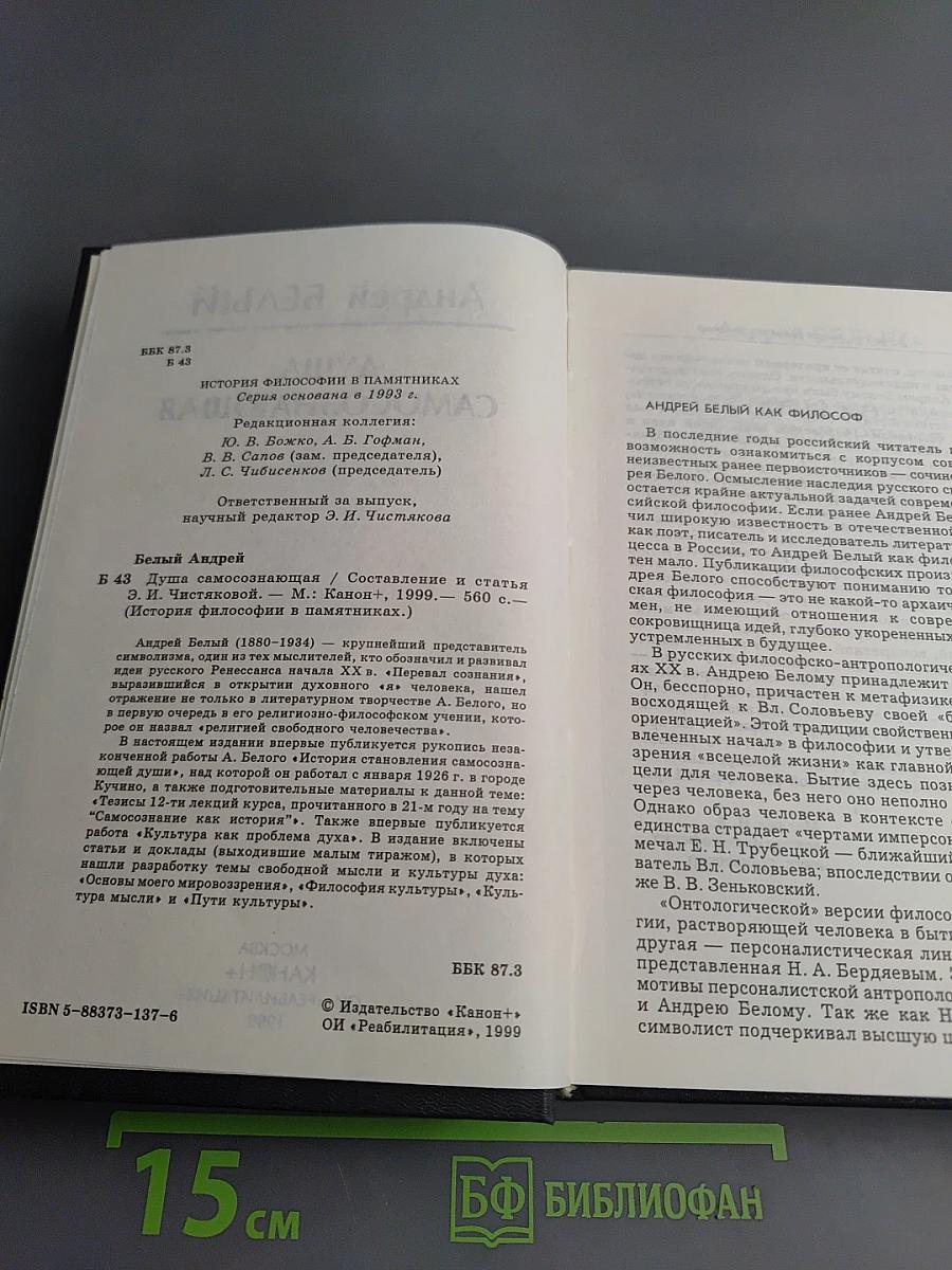 Душа самосознающая