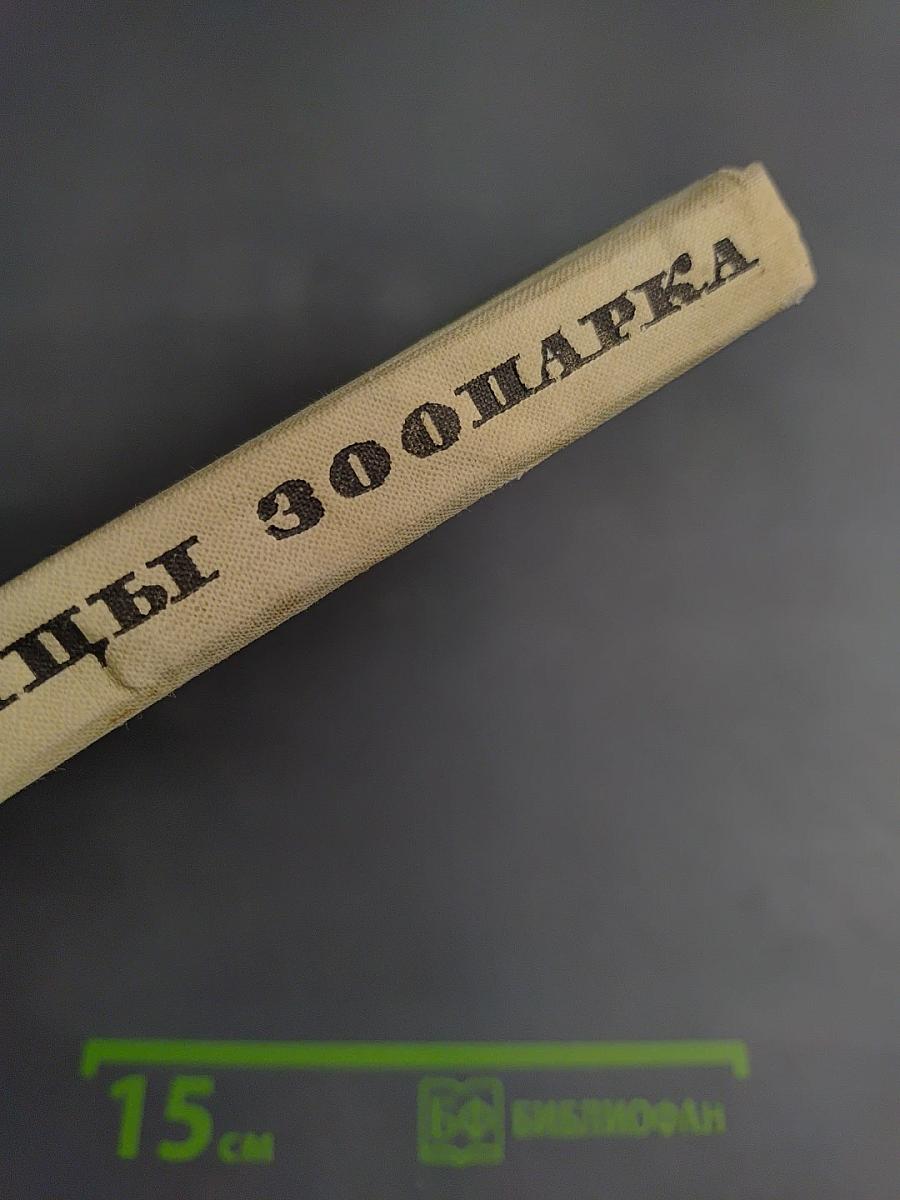 Питомцы зоопарка