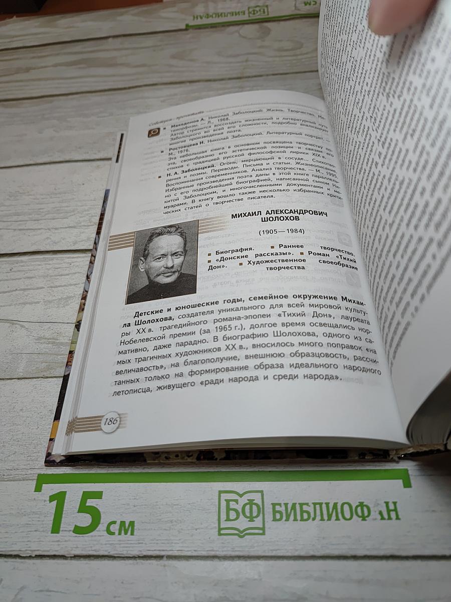 Литература, 11 класс, Базовый уровень, 2 часть
