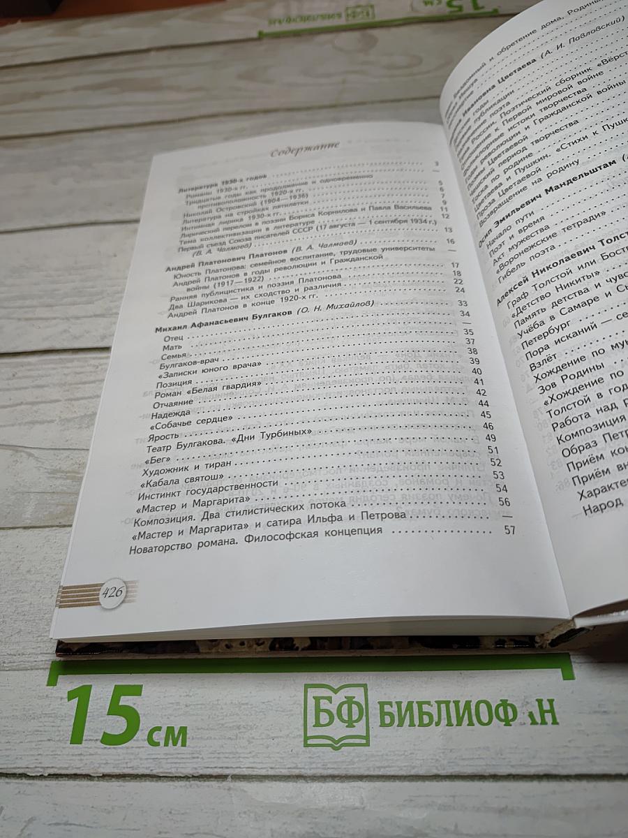 Литература, 11 класс, Базовый уровень, 2 часть