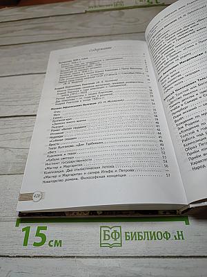 Литература, 11 класс, Базовый уровень, 2 часть