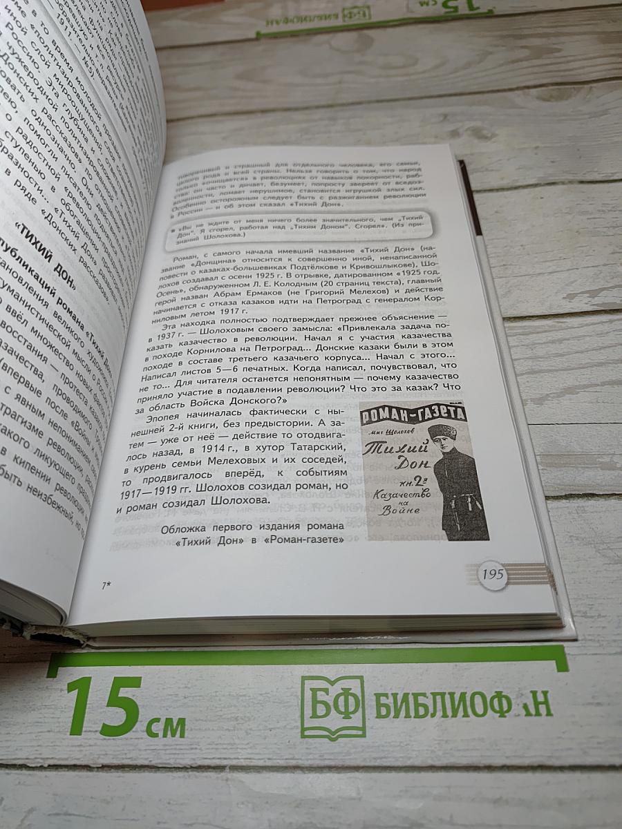 Литература, 11 класс, Базовый уровень, 2 часть