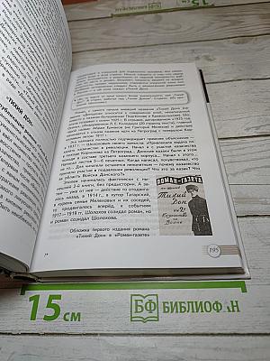 Литература, 11 класс, Базовый уровень, 2 часть