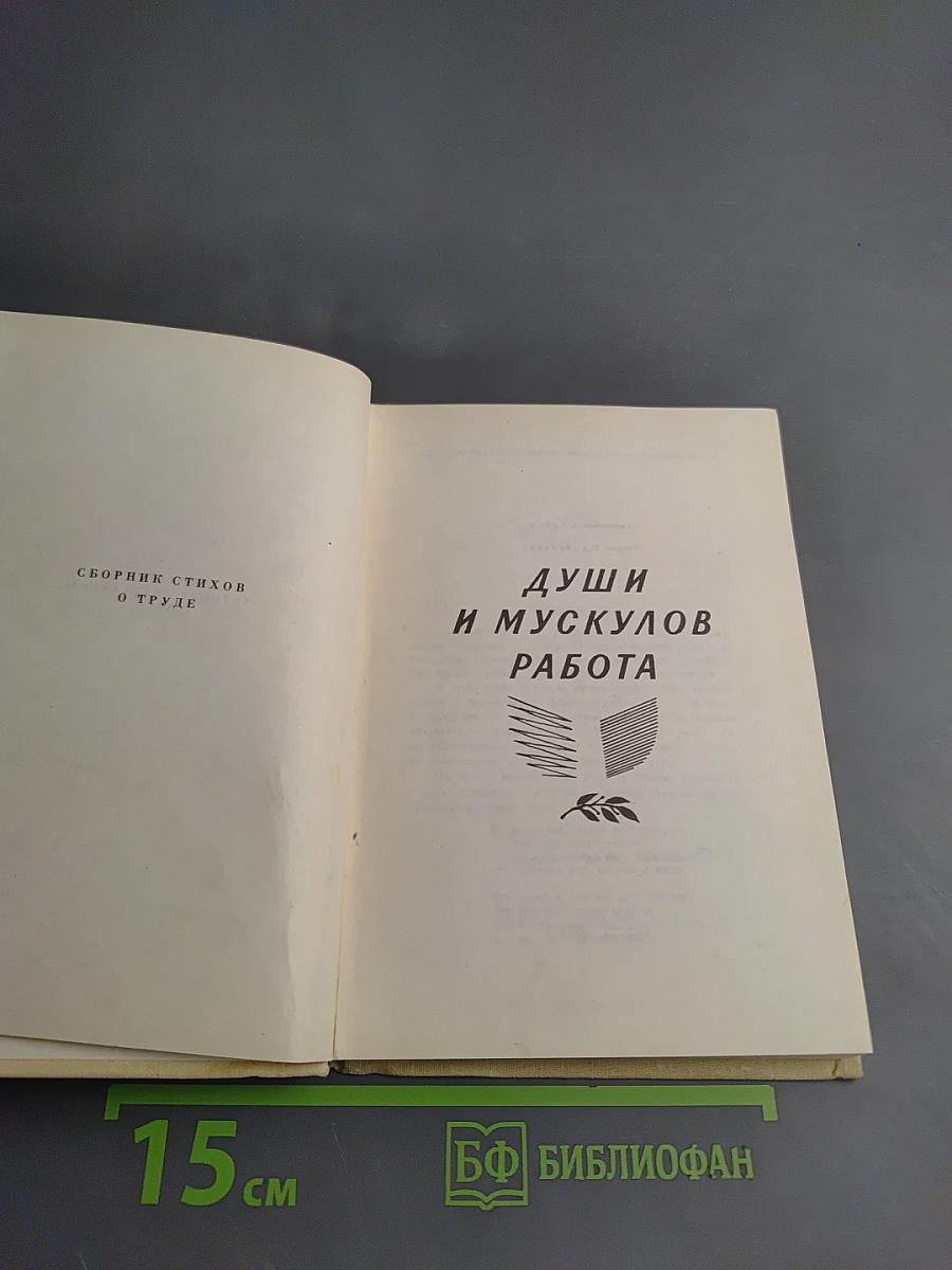 Души и мускулов работа