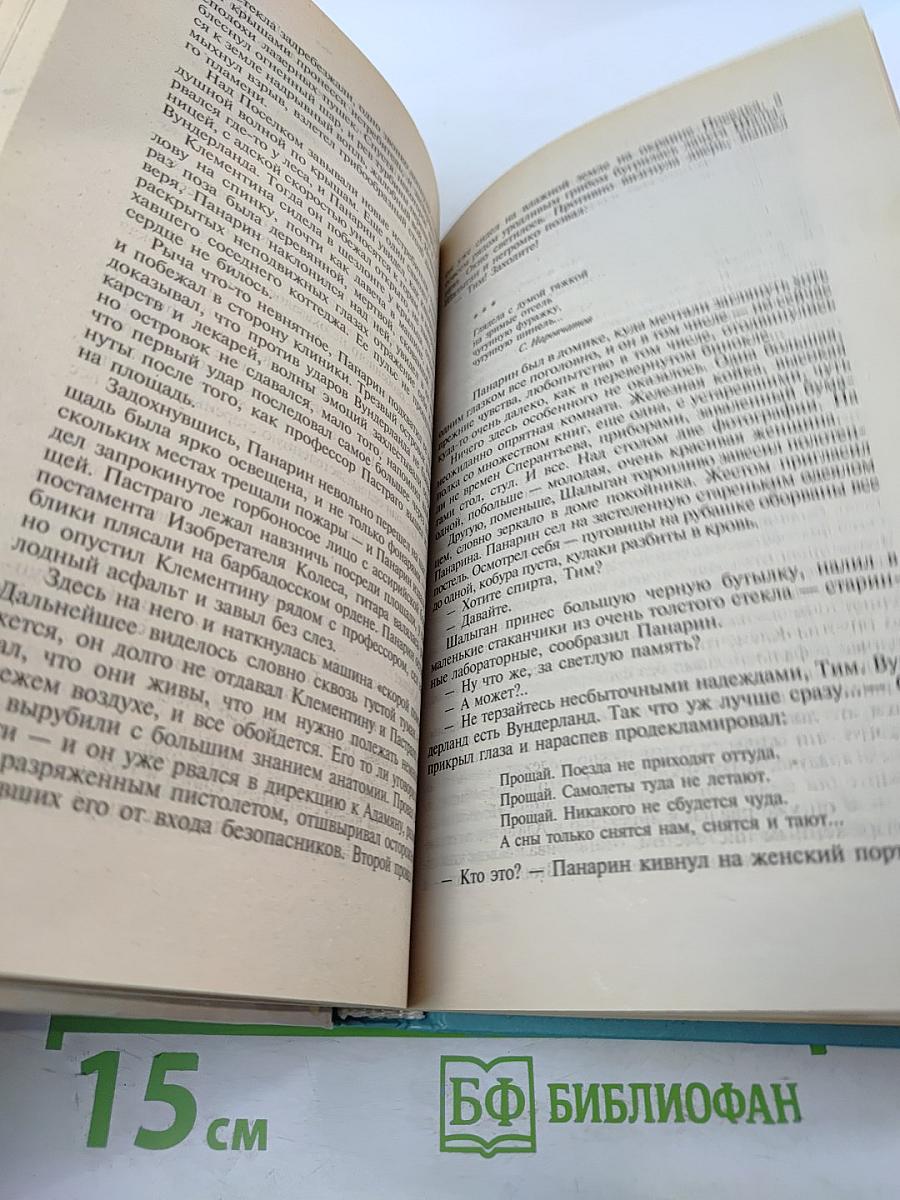 Волчье солнышко