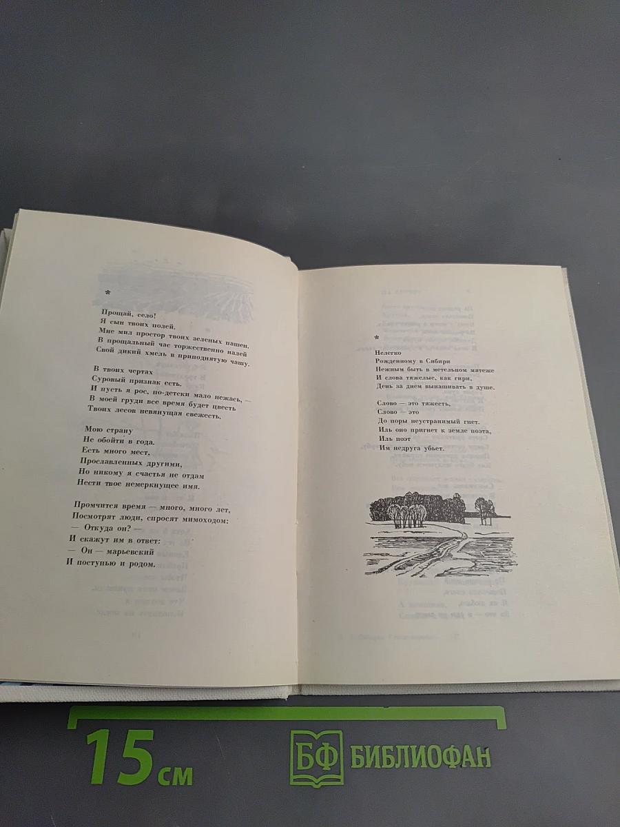 Стихотворения