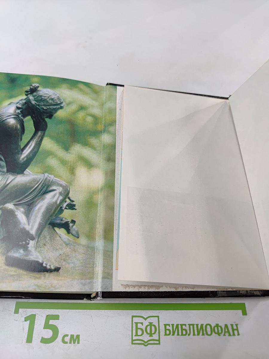 The Museums of Leningrad