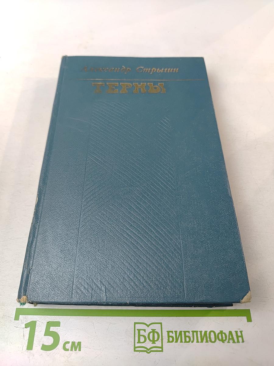 Терны. Роман и повесть