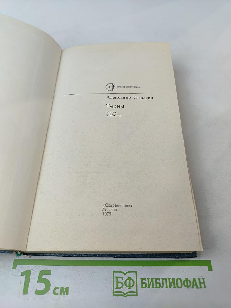 Терны. Роман и повесть