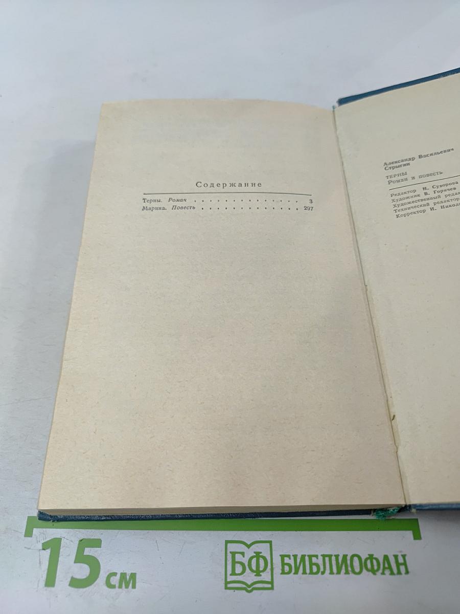 Терны. Роман и повесть