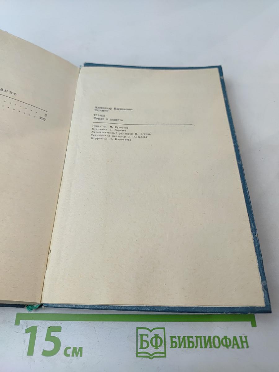 Терны. Роман и повесть