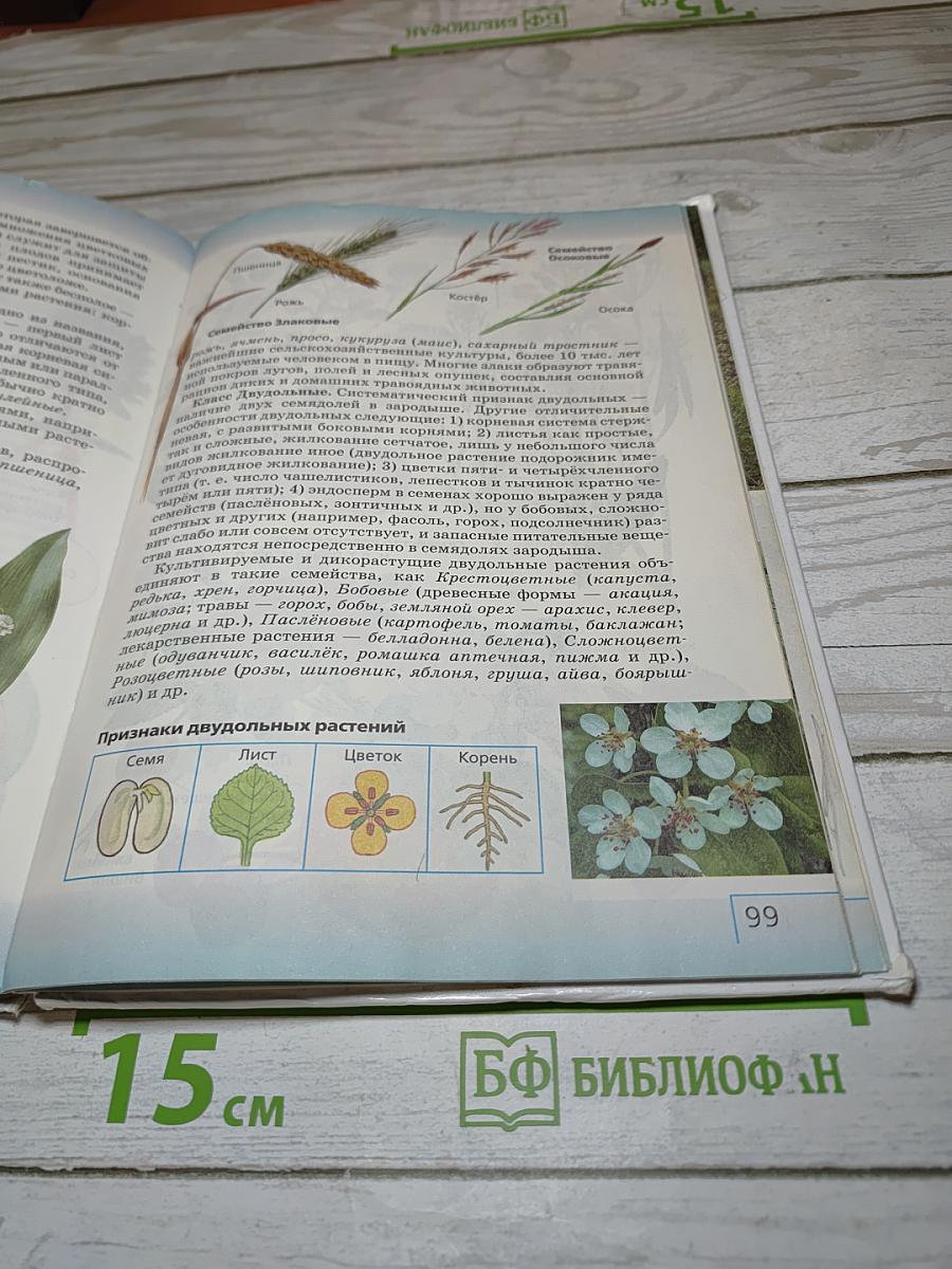 Биология. Многообразие живых организмов. Бактерии, грибы, растения. 7 класс
