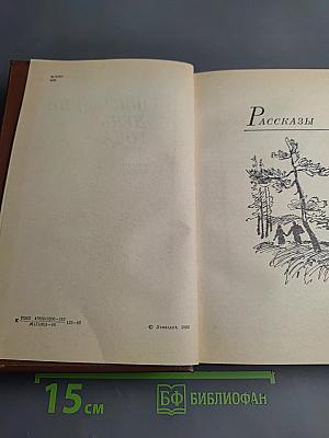 Последний день года