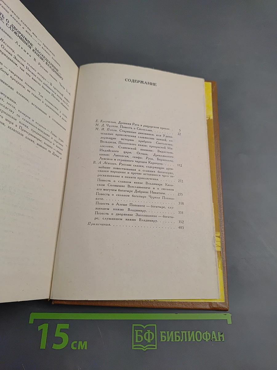 Приключения славянских витязей