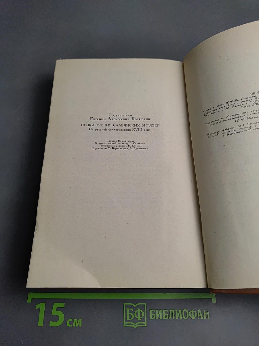 Приключения славянских витязей