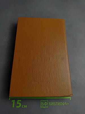 Приключения славянских витязей