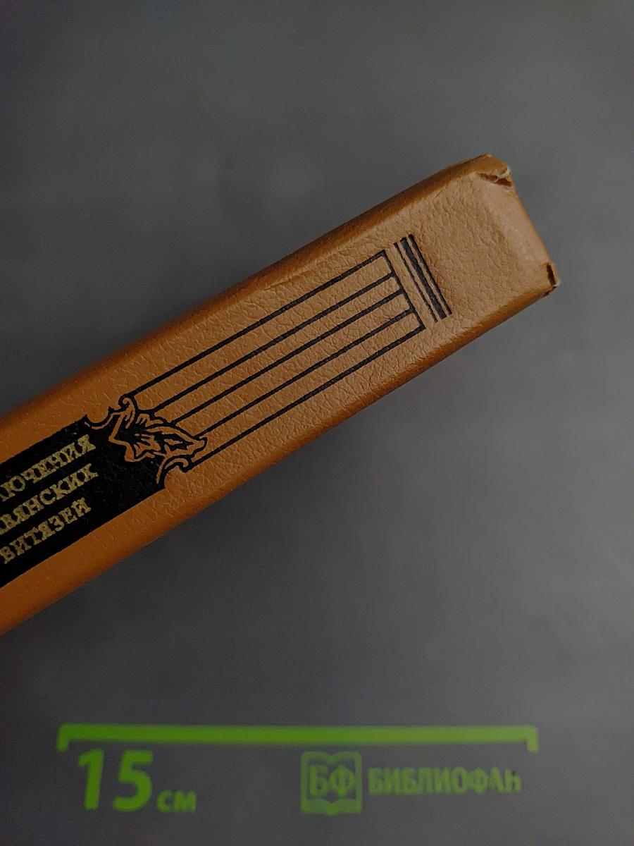 Приключения славянских витязей