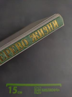 Зеленое дерево жизни