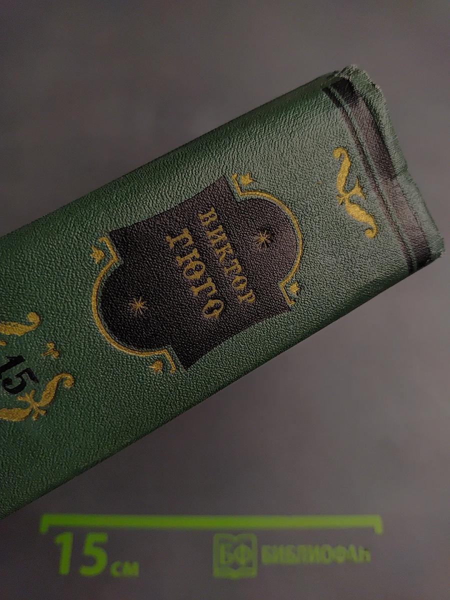 Виктор Гюго. Том пятнадцатый. Дела и речи