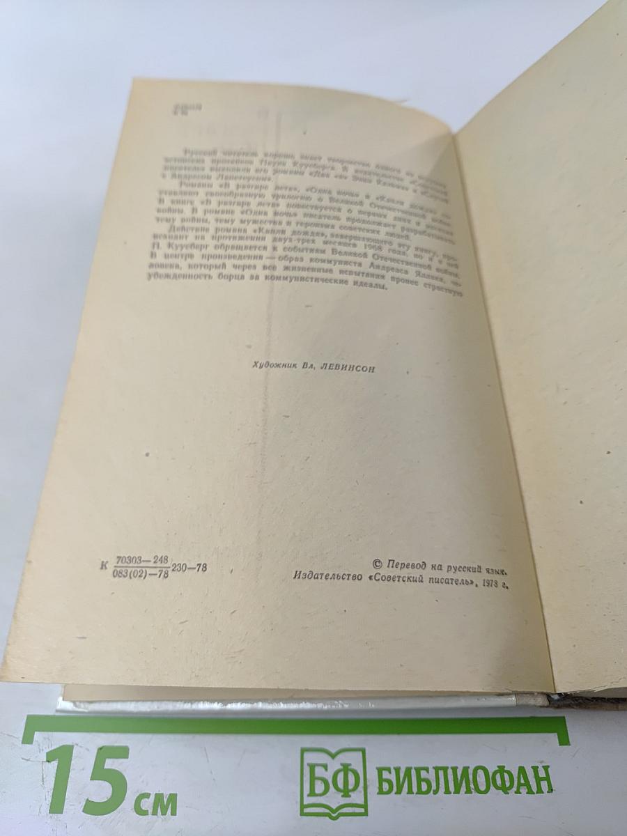 В разгаре лета. Одна ночь. Капли дождя