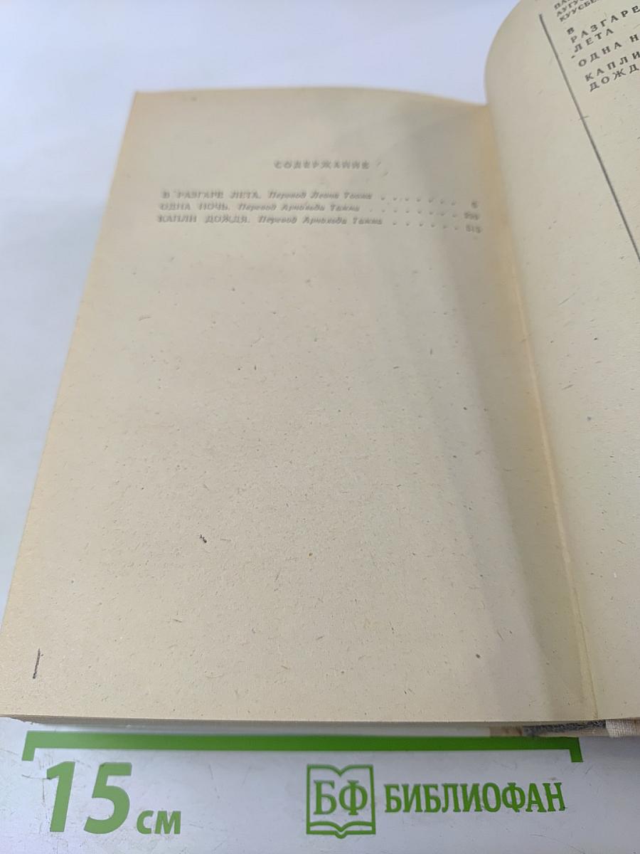 В разгаре лета. Одна ночь. Капли дождя