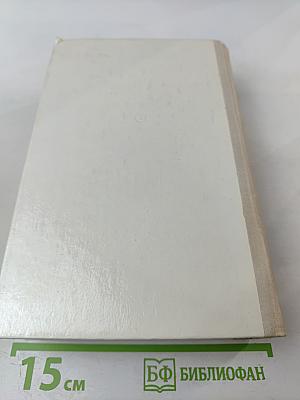 В разгаре лета. Одна ночь. Капли дождя