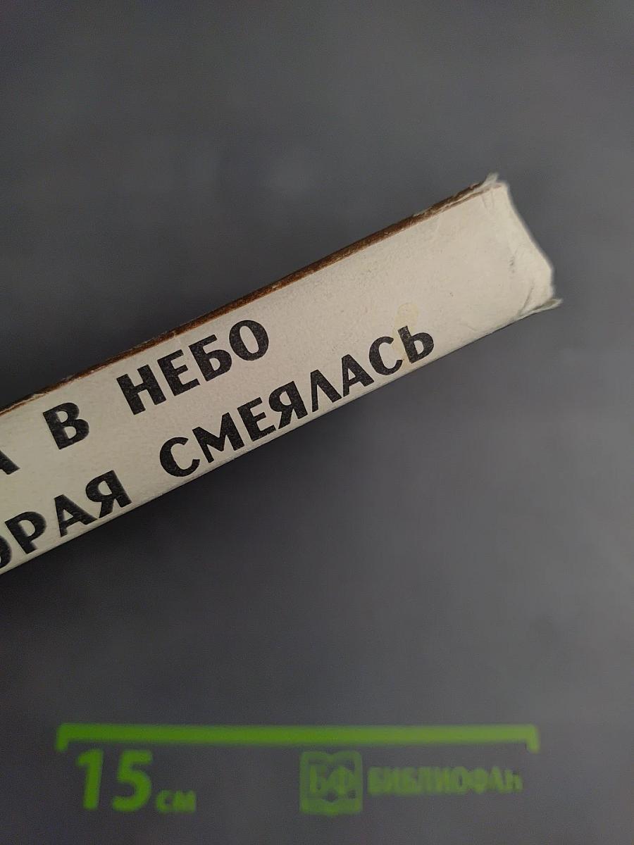 Лестница в небо. Сосна, которая смеялась