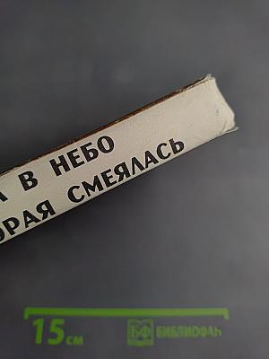 Лестница в небо. Сосна, которая смеялась