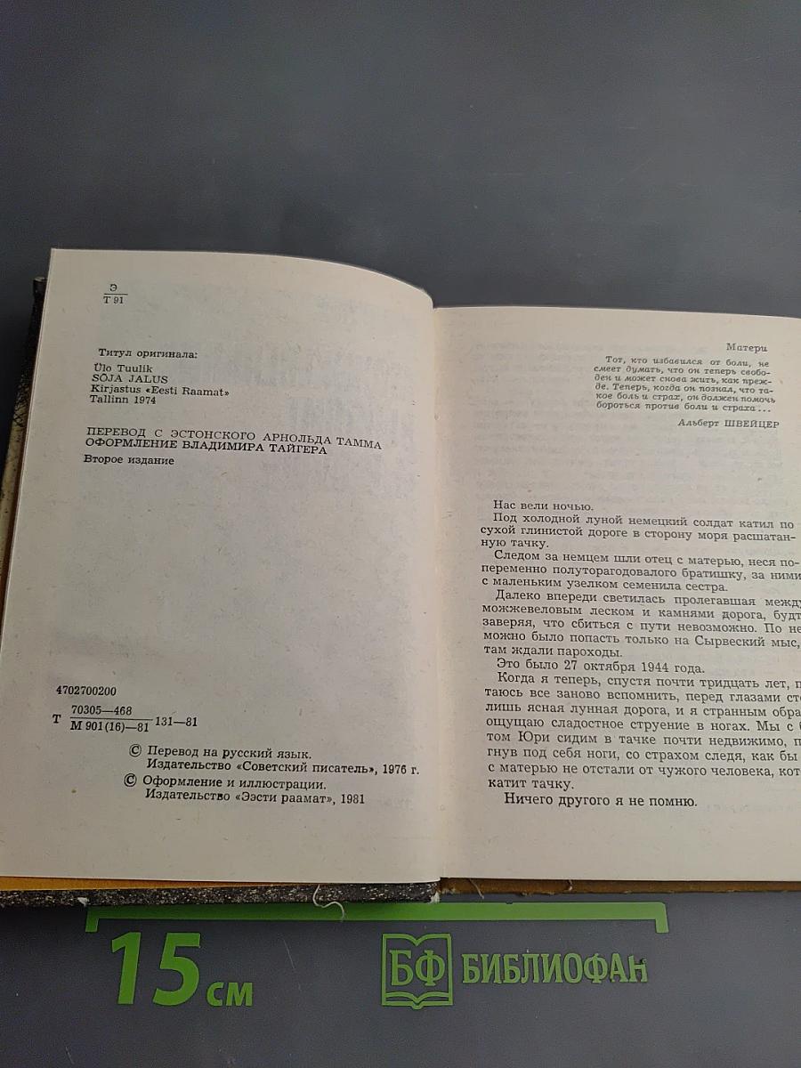 Можжевельник выстоит и в сушь