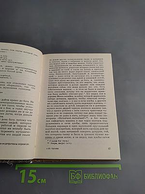 Можжевельник выстоит и в сушь