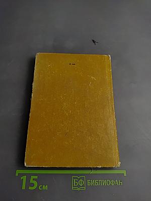 Можжевельник выстоит и в сушь