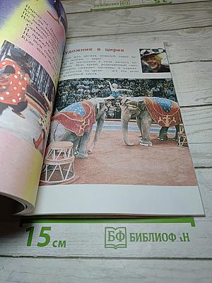 Изобразительное искусство. Искусство вокруг нас. 3 класс