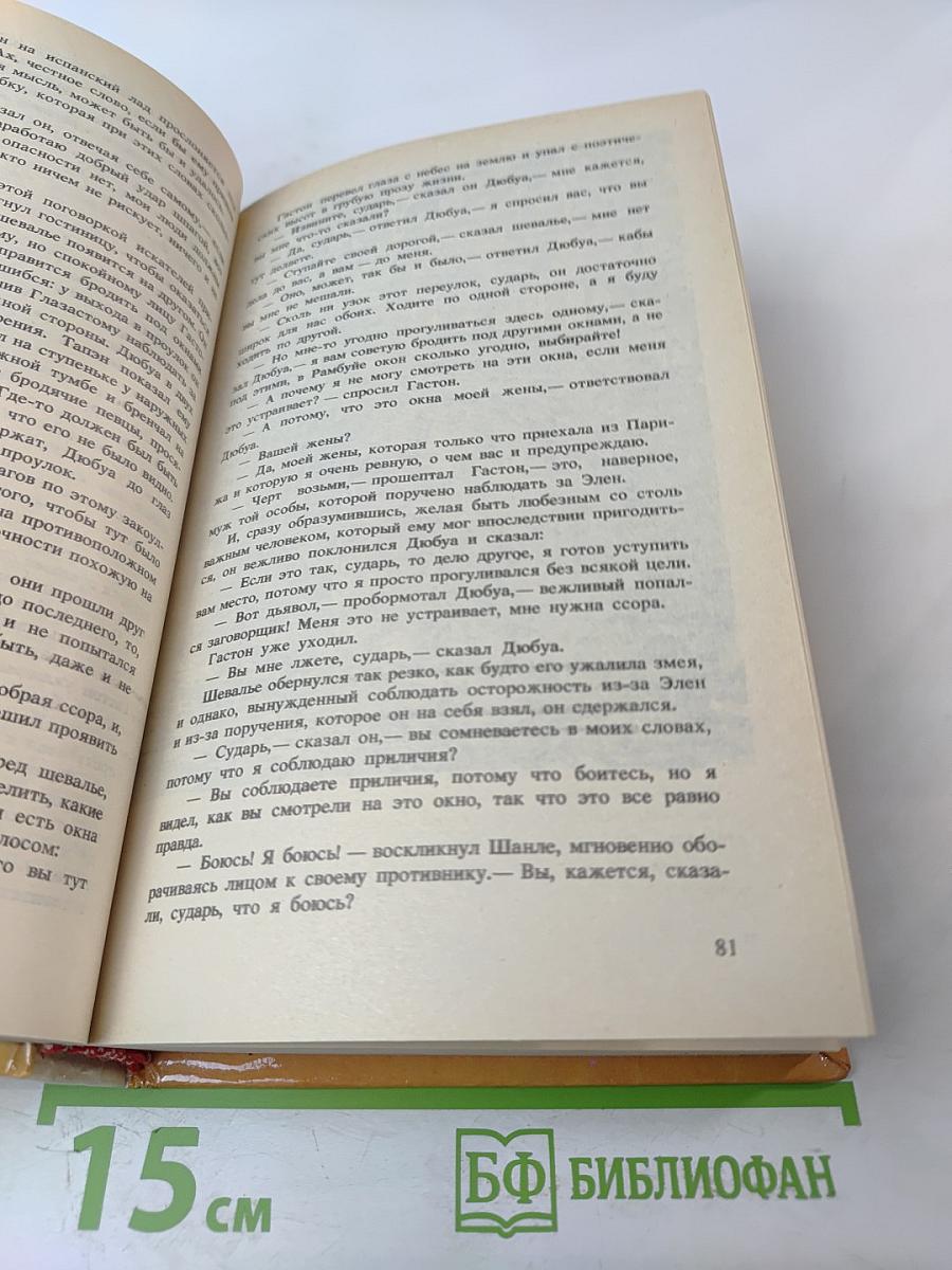 Дочь регента. Жорж