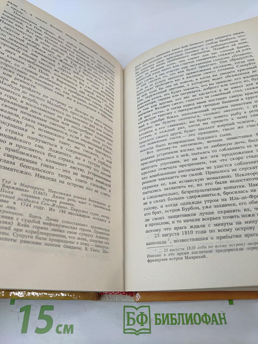 Дочь регента. Жорж