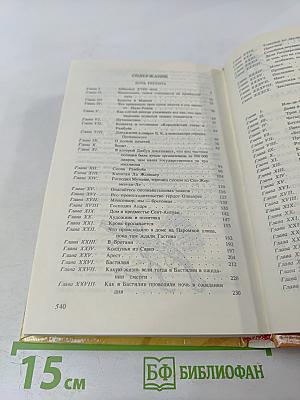 Дочь регента. Жорж