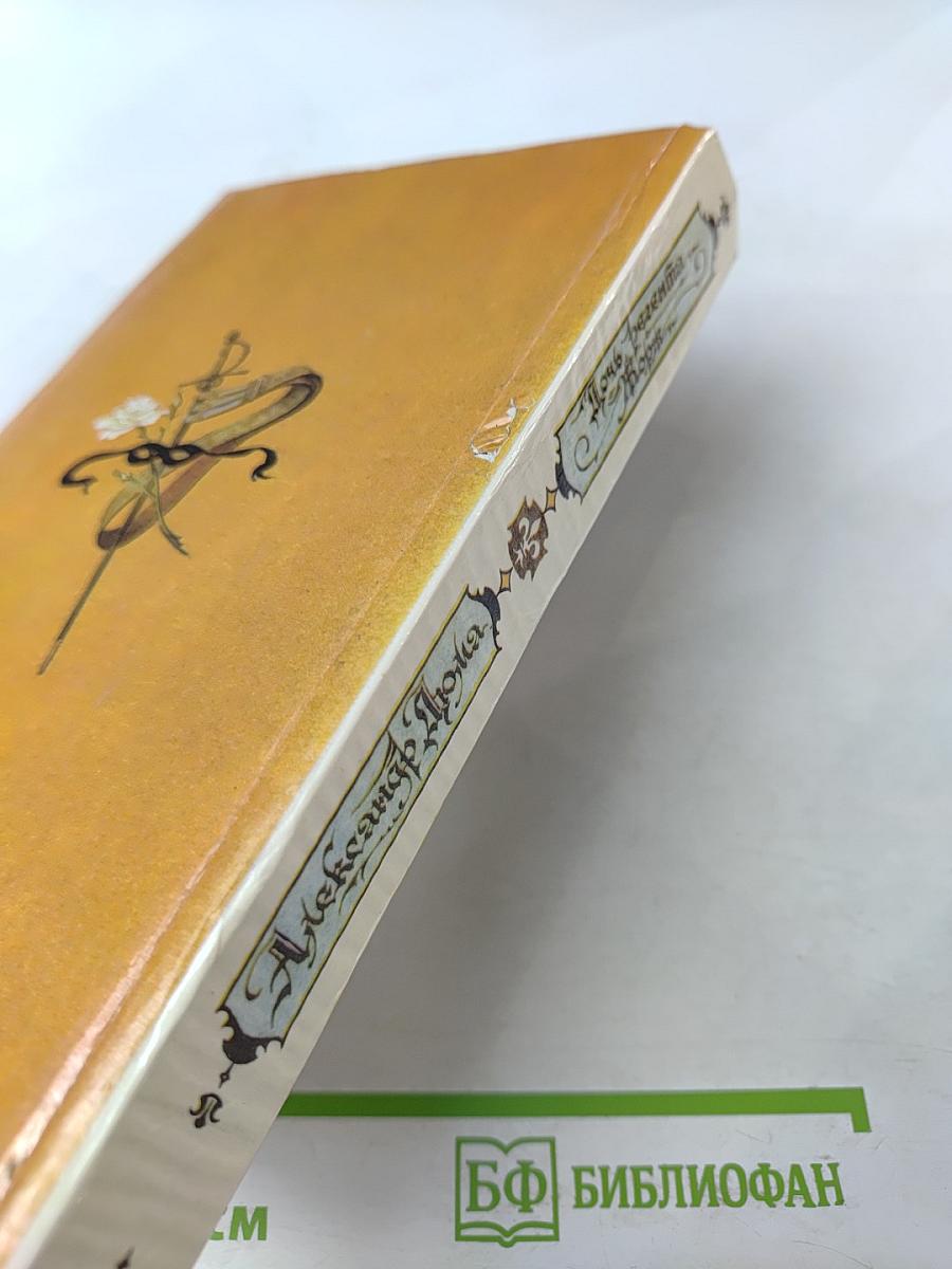 Дочь регента. Жорж