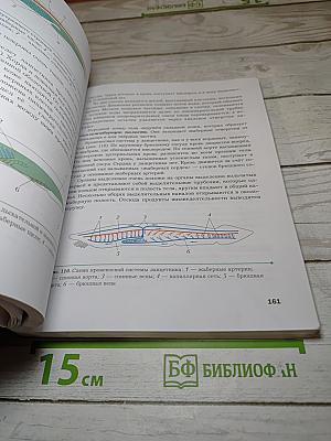 Биология 8 класс