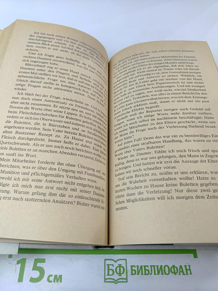 Kriminalisten im Verhör. Fünf Berichte