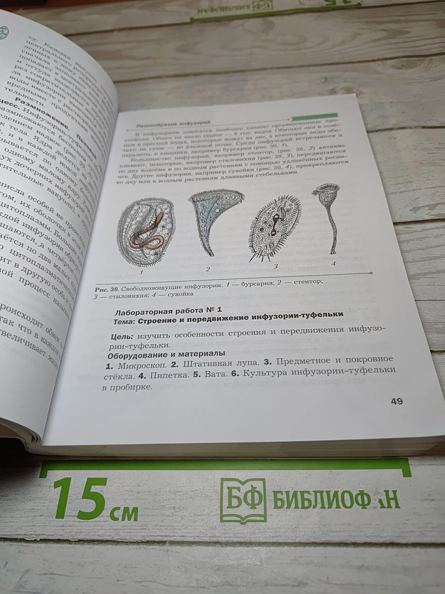 Биология 8 класс